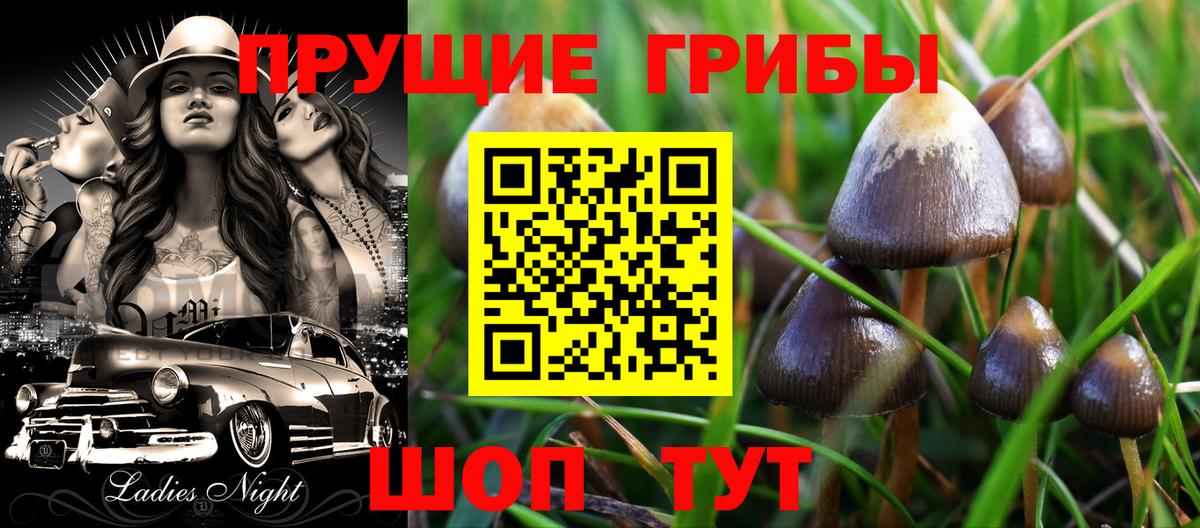 Псилоцибиновые грибы Psilocybine cubensis  Вход с VPN  Дубна 
